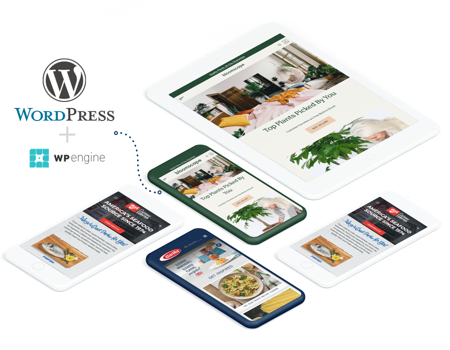 Switch Internet wordpress webdesign